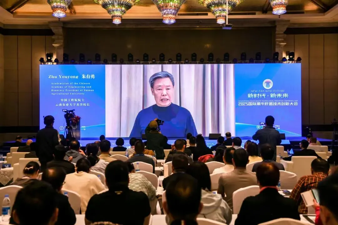 院士赋能云南牛肝菌产业 “2025国际黑牛肝菌技术创新大会”在西双版纳举办04.webp